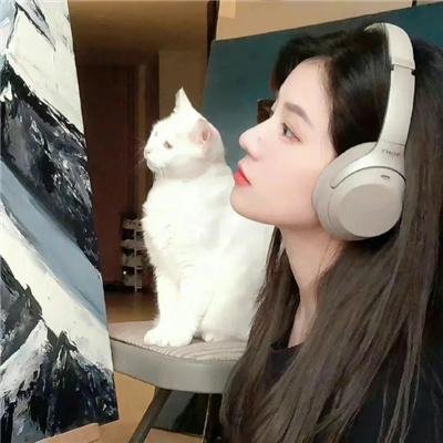 星灵感应真人版